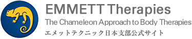 エメットテクニック日本支部